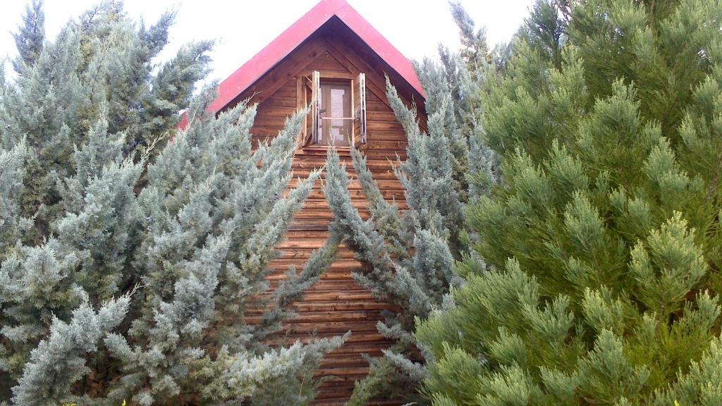 Cañada del Hoyo El Muerdago De Canada 게스트하우스 외부 사진
